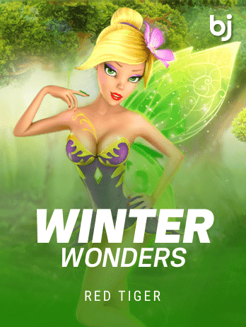 Winter Wonders icon